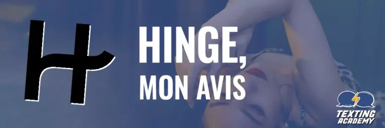 Hinge avis miniature.